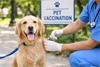 Mangaluru: MCC mandates pet dog vaccination, sterilisation; violators face fines up to Rs 50,000
